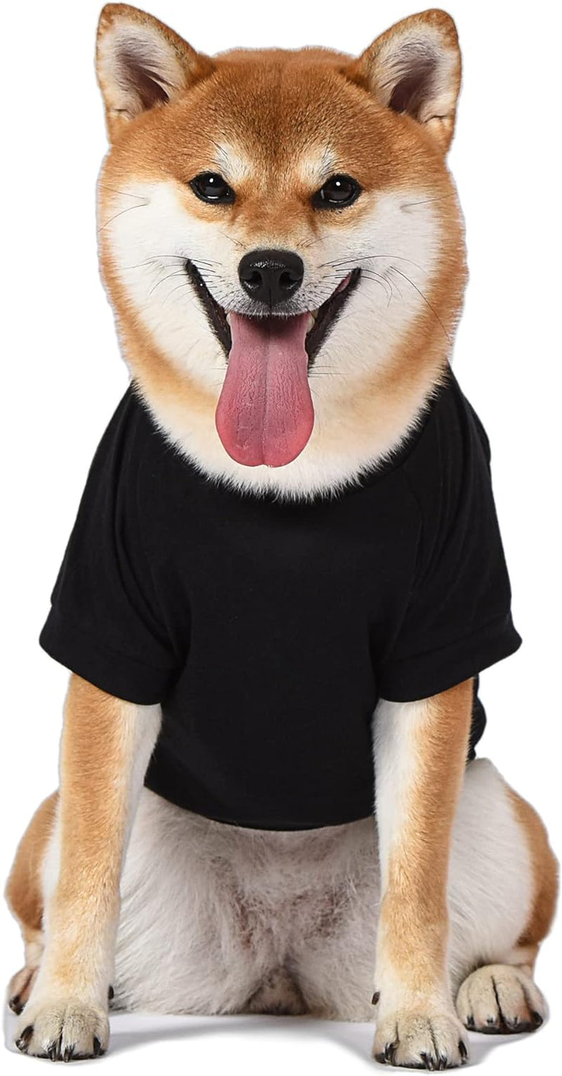 Dog T Shirt, X-Small | Black Small Dog Shirt for Very Small Dogs | Lightweight Semi-Stretch Pull-Over Dog Tshirt for Small Dogs from Peanuts (XS), FF13344