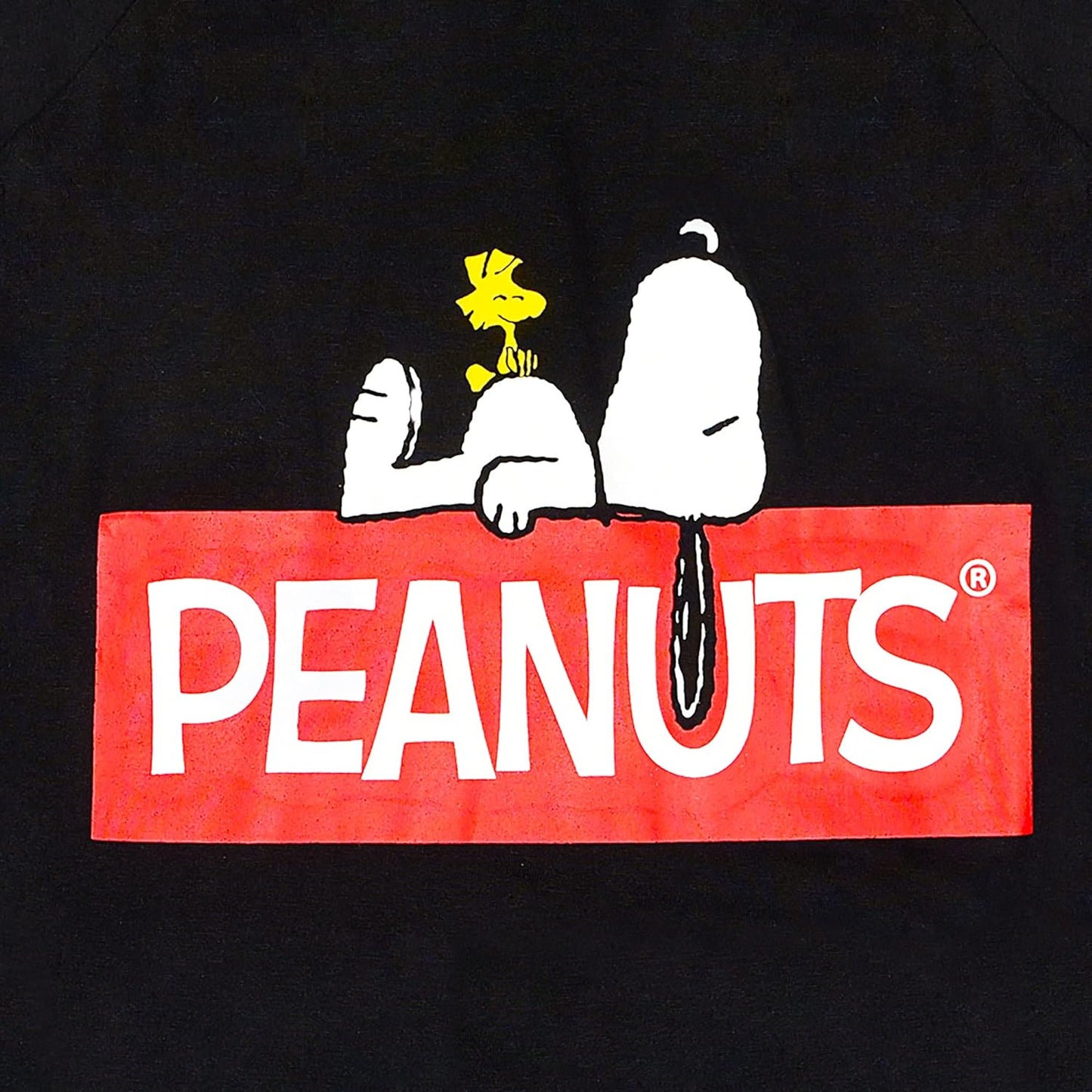 Dog T Shirt, X-Small | Black Small Dog Shirt for Very Small Dogs | Lightweight Semi-Stretch Pull-Over Dog Tshirt for Small Dogs from Peanuts (XS), FF13344